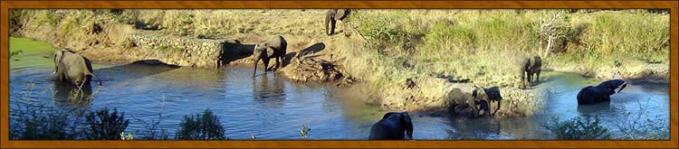 Thula Thula Exclusive Private Game Reserve and Safari Lodge Hluhluwe