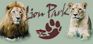 Lion Park