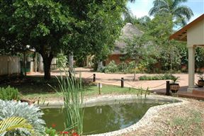 Trees Too Guest Lodge