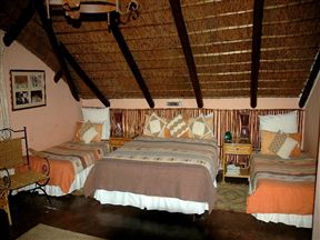 Trees Too Guest Lodge