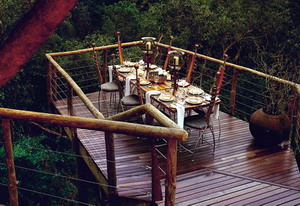 Tsala Treetop Lodge and Villas