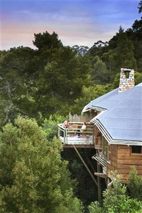 Tsala Treetop Lodge and Villas