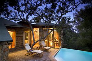 Tsala Treetop Lodge and Villas