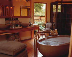 Tsala Treetop Lodge and Villas