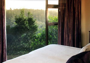 Tsala Treetop Lodge and Villas