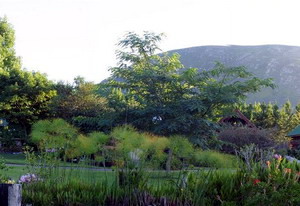 Tsitsikamma Lodge & Spa