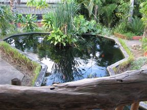 Umfolozi Riverlodge & Bird Park, Mtubatuba