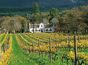 Cape Winelands, Western Cape, South Africa