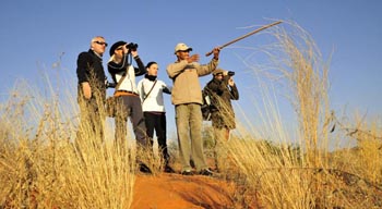 Xaus Lodge - Kgalagadi Transfrontier Park