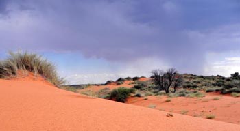 Xaus Lodge - Kgalagadi Transfrontier Park