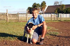 Zoutpan Struishuis Guest Farm